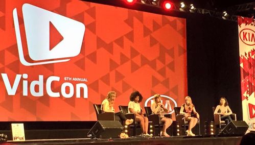Vidcon Panel